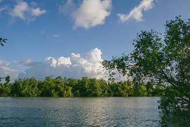 夢幻西游sf發(fā)布網(wǎng)站